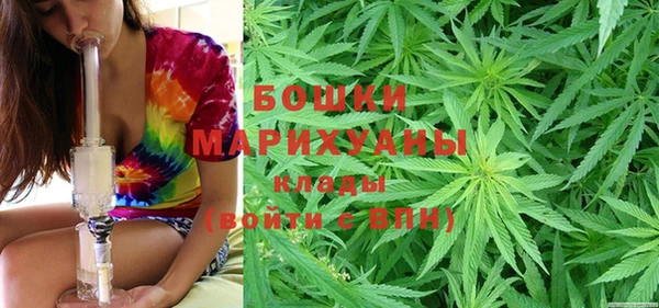 прущие грибы Алзамай