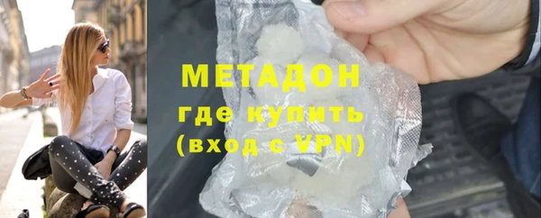 прущие грибы Алзамай