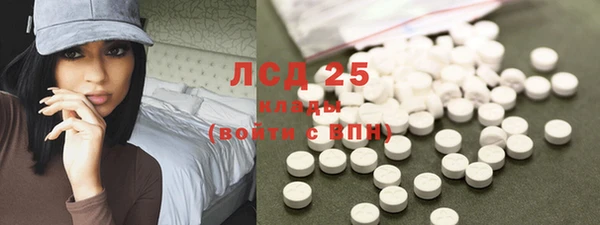 прущие грибы Алзамай