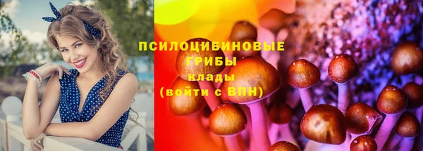 прущие грибы Алзамай