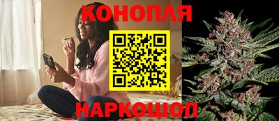 сатива Жуковский