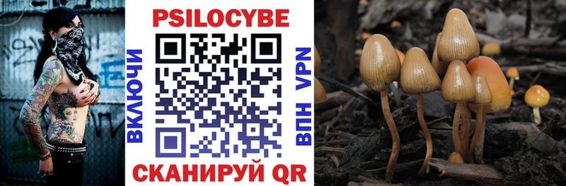 Псилоцибиновые грибы GOLDEN TEACHER  Мичуринск 