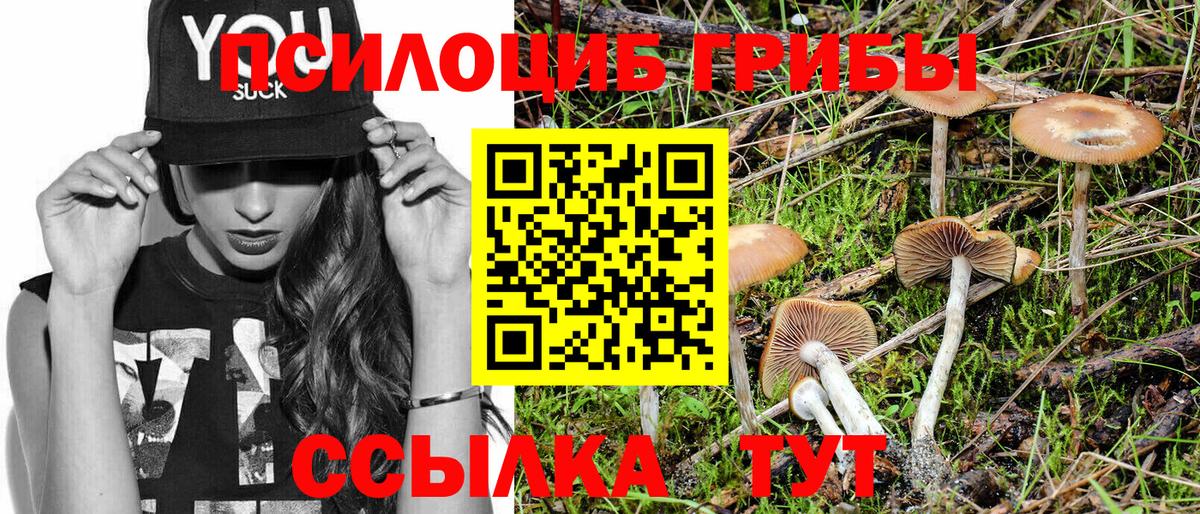 Галлюциногенные грибы мицелий Мичуринск