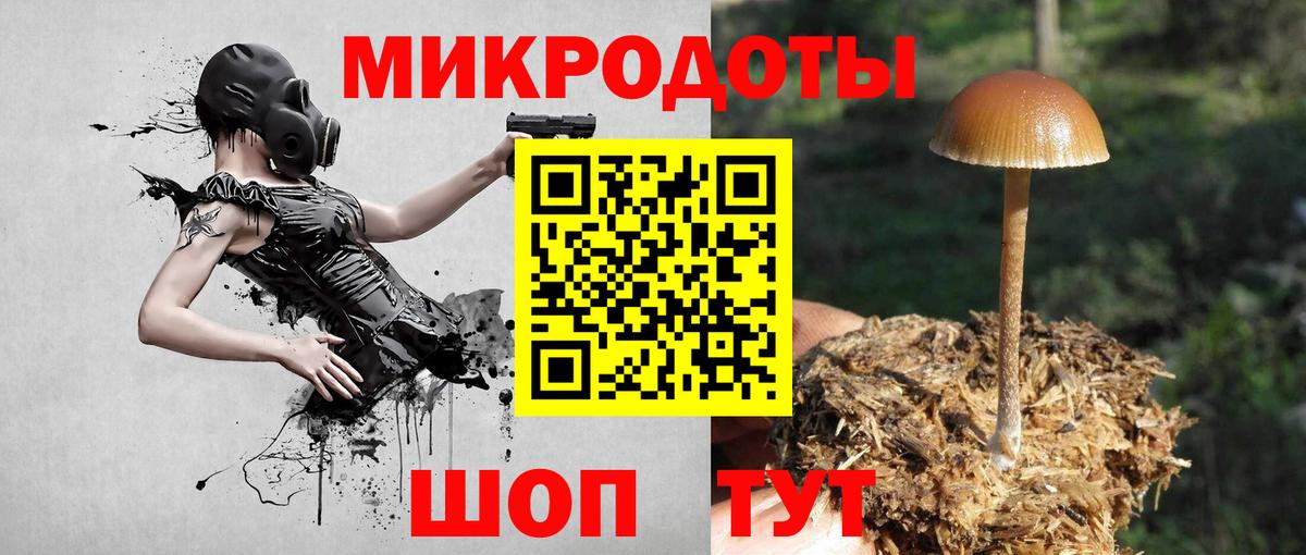 купить наркоту  Галлюциногенные грибы мицелий  Вход с VPN  Мичуринск 